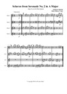 Brahms Scherzo from Serenade No.2 set for Flute Quartet